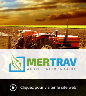 Creation site web Algérie